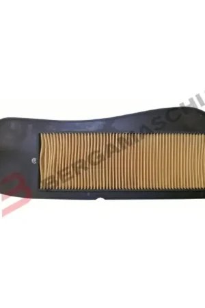 Promozione Esclusiva e1741040 FILTRO ARIA YAMAHA X-MAX 125, X-MAX 250, X-CITY 125, X-CITY 250 ENTRA X APPLICAZIONI
